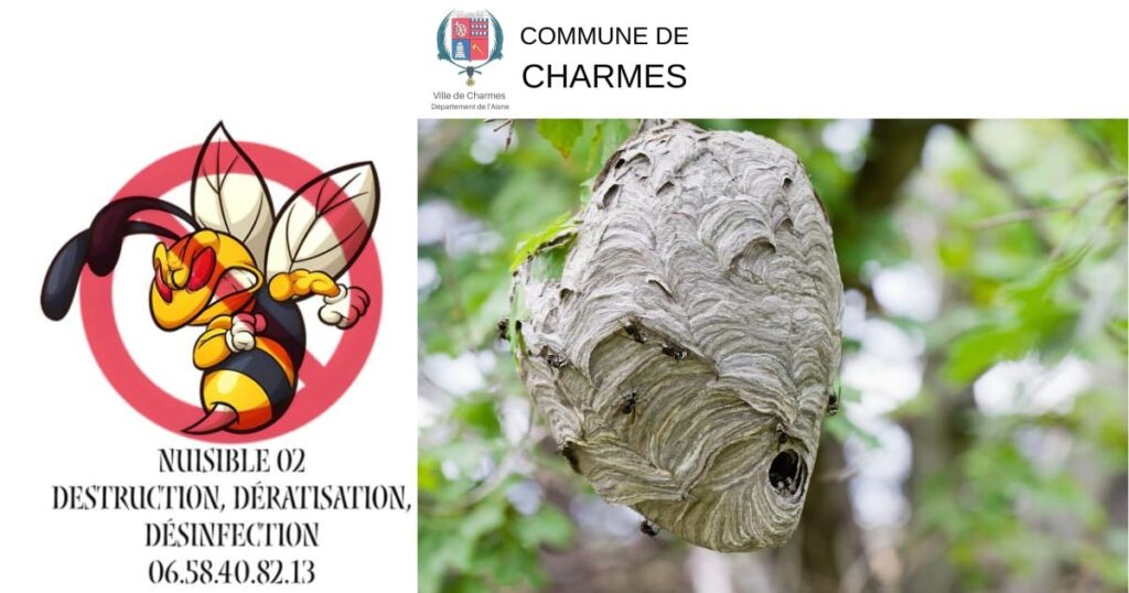 Nuisible 02 solution professionnelle pour éliminer nids de guêpes et de frelons - Commune Charmes Aisne