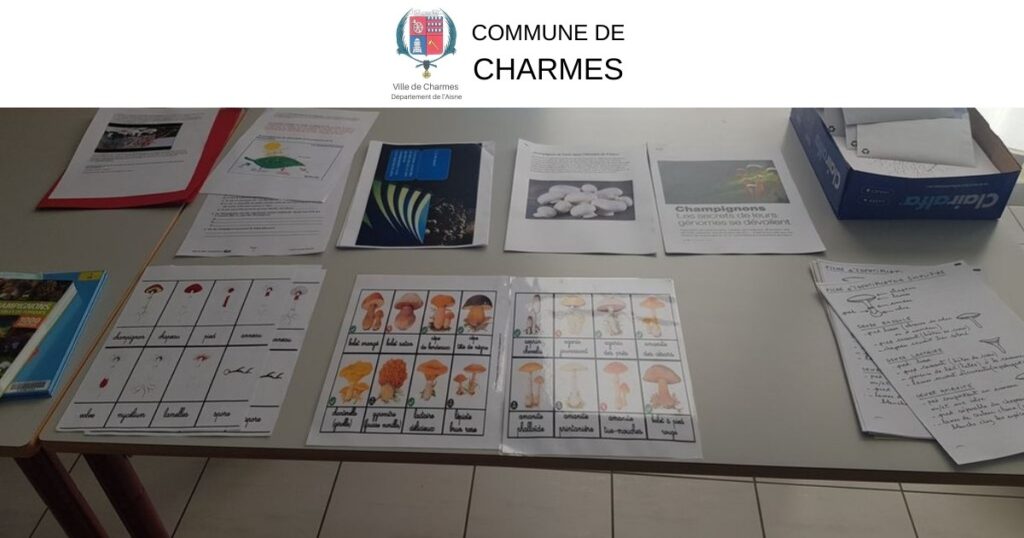 A la découverte des champignons -FB- Commune Charmes Aisne